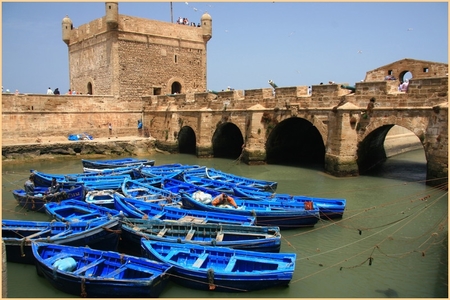 day trip to essaouira